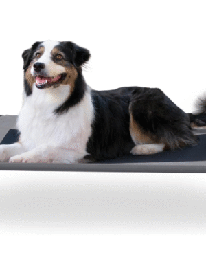 K&H Pet Products Erhöhtes Hundebett für den Außenbereich, atmungsaktives, kühlendes erhöhtes Bett, Hängematte, Haustierbett für große